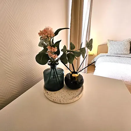 Cosy- Hyper Centre 公寓