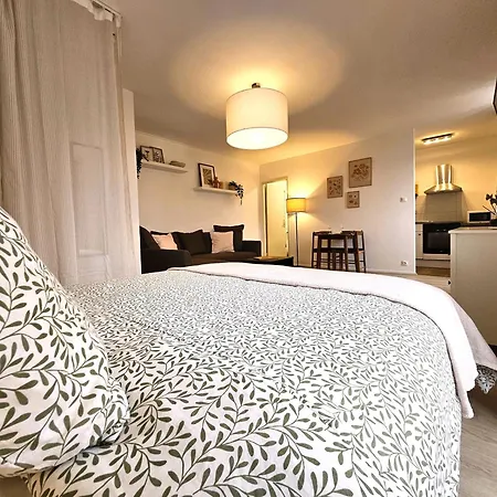 Apartment Cosy- Hyper Centre Colmar